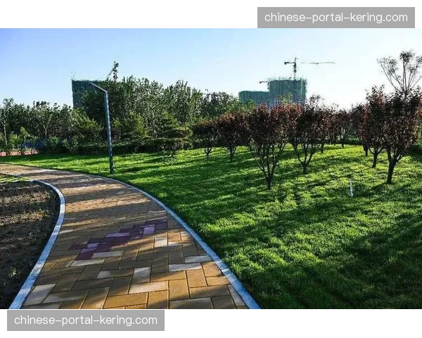 特写：一家位于里尔的足球主题咖啡馆成为当地球迷文化地标